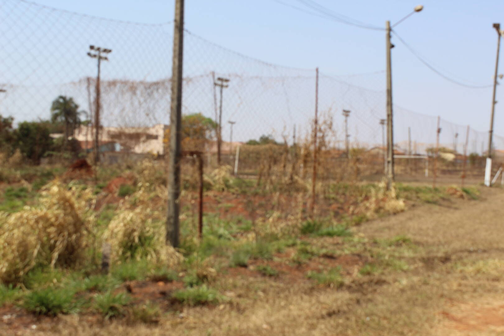 Terreno à venda, 20000m² - Foto 8