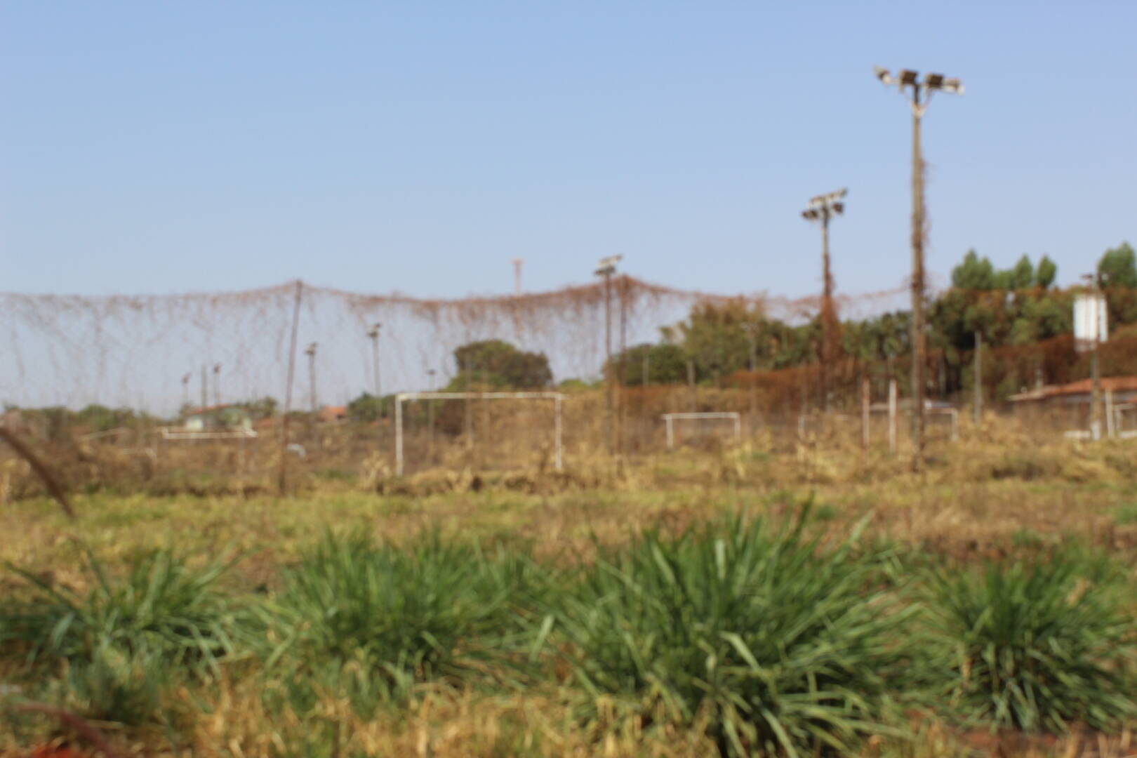 Terreno à venda, 20000m² - Foto 14