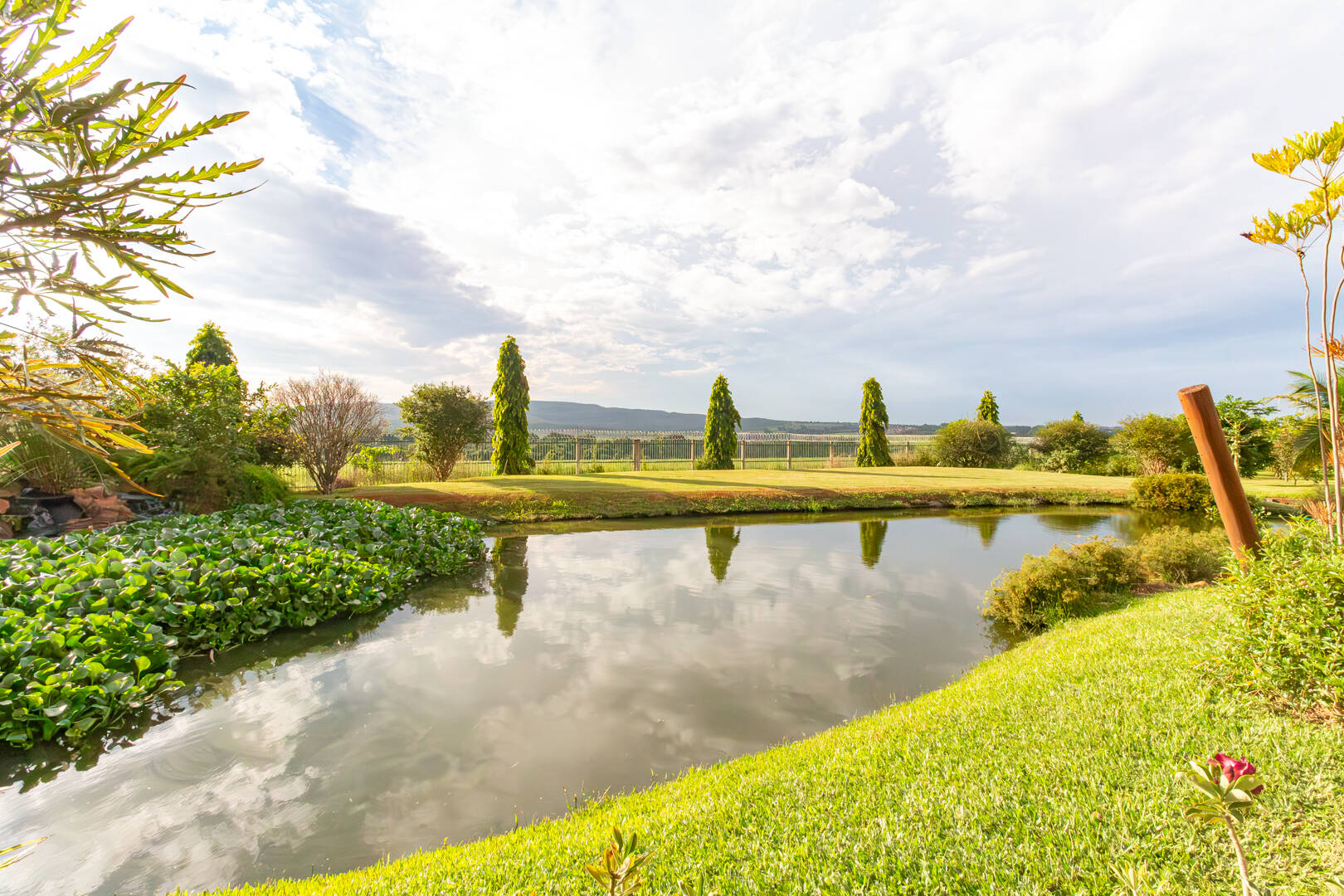 Casa à venda com 5 quartos, 4000m² - Foto 34